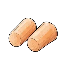 earplugs