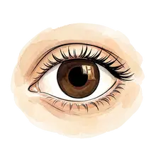 eye