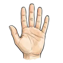 hand