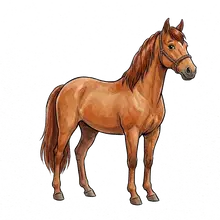 Pferd