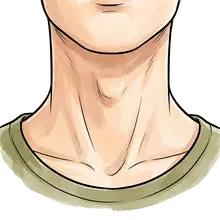 throat