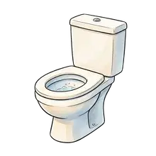 toilet