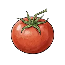 tomato