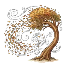 wind