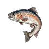 Fisch