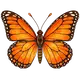 Schmetterling; der Name des Katers im Kurs