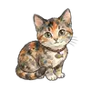 Katze