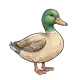 Ente