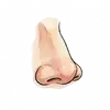 Nase
