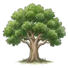 tree