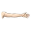 arm