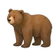 Bär