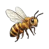 bee