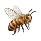 bee