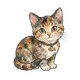 Katze