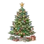 fir tree