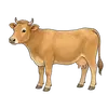 cow