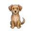 Hund