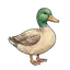 Ente