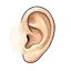Ohr