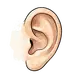 Ohr
