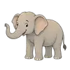 elephant
