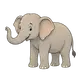 elephant