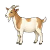 goat