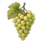 Trauben