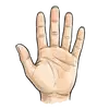 hand