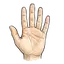 Hand