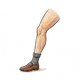Bein