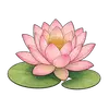 lotus