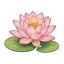 lotus