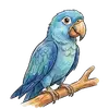 parrot