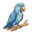 parrot
