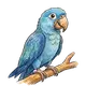 parrot