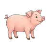 Schwein