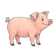 Schwein