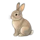 rabbit