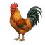 rooster