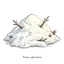 snow