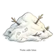 snow