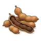 tamarind