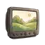 Fernsehen