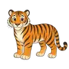 Suea, der Kater
