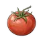 Tomate