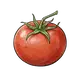 Tomate