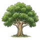 Baum