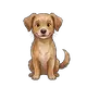 Hund